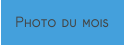 Photo du mois