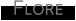 Flore